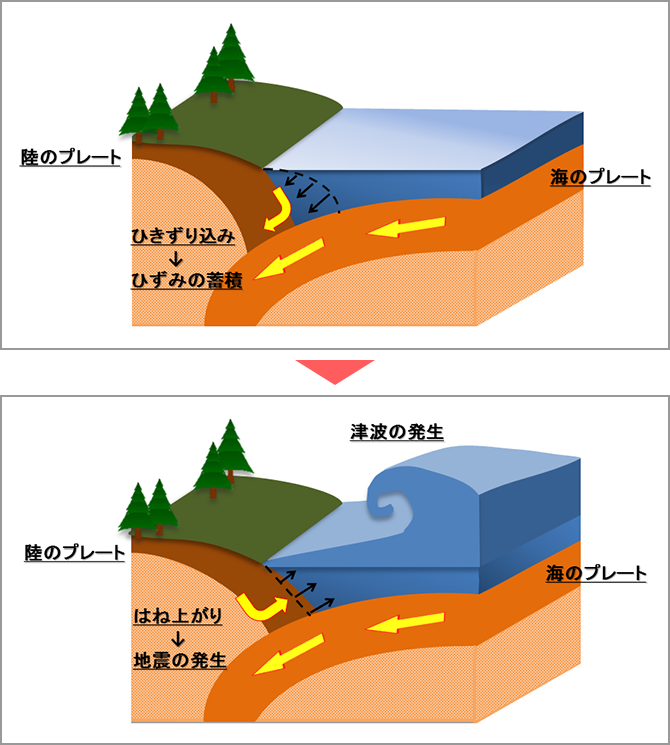 海溝型地震の発生メカニズム