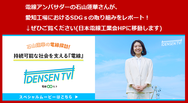 DENSEN-TV