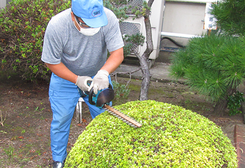 樹木の手入れ作業