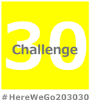 challaenge 30